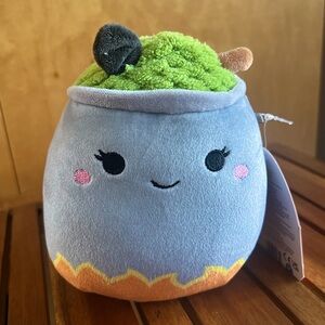 🟡 NWT 5” Johanna Witch Potion Cauldron Halloween Squishmallows fall thanksgiving